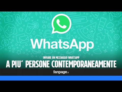 Come inoltrare un messaggio ricevuto su whatsapp